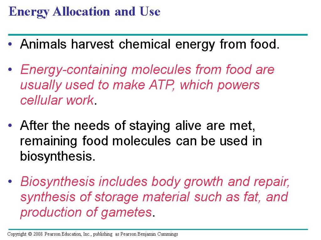 Energy Allocation and Use Animals harvest chemical energy from food. Energy-containing molecules from food